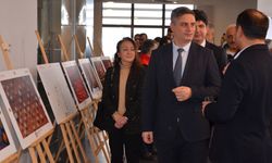 Uluslararası Tarım, Orman ve İnsan Fotoğraf Yarışması'nda ödül alan fotoğraflar Sinop'ta sergilendi