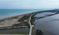 UNESCO listesindeki Kızılırmak Deltası su seviyesinin artmasıyla canlanmaya başladı