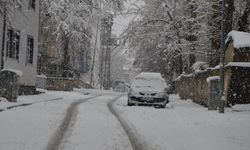 Van, Muş ve Hakkari'de kar nedeniyle 279 yerleşim yerine ulaşım sağlanamıyor