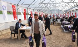 Vezirköprü'de çiftçilere yonca tohumu desteği