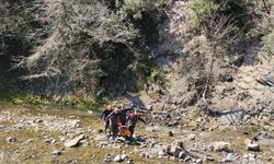 Zonguldak'ta defne yaprağı topladığı sırada yüksekten düşen kadın yaralandı