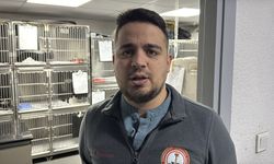 Zonguldak'ta kedinin yuttuğu vakumlu tutucu endoskopiyle çıkarıldı