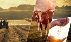 17,4 milyar TL'lik tarımsal destek çiftçilerin hesabında