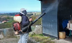 19 Mayıs'ta kahverengi kokarca ile mücadele çalışmaları sürüyor