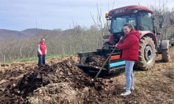 19 Mayıs'ta Nebiyan fasulyesi için tarla hazırlıkları başladı