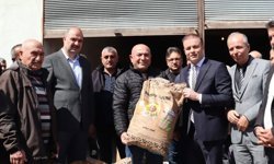 Alaca'da çiftçilere yüzde 50 hibeli ayçiçeği tohumu dağıtıldı