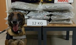 Anadolu Otoyolu'nun Düzce kesiminde durdurulan minibüste 12 kilogram uyuşturucu ele geçirildi