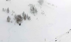 Artvin'de çığ bölgesinde gözlemsel etüt ve kar rasatı çalışması yapıldı