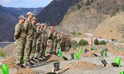 Artvin'de 'Mehmetçik Hatıra Ormanı' oluşturuldu