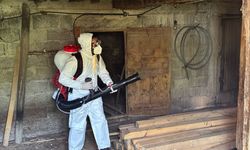 Bartın'da kahverengi kokarcayla mücadelede 16 bin metruk yapı ilaçlandı