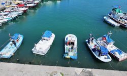 Batı Karadeniz ve Doğu Marmara'da balıkçılar bu sezon umduğunu bulamadı