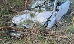 Bolu'da ağaca çarpan kamyonetin sürücüsü yaralandı