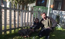 Bolu'da aracın çarpması sonucu yaralanan karaca tedavi altına alındı