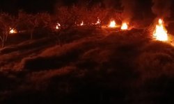 Bolu'da çiftçiler zirai don mesaisi yaptı