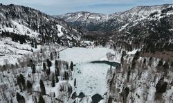 Borçka Karagöl Tabiat Parkı ziyaretçilerini ağırlamaya başladı