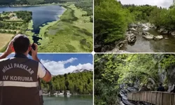 Doğa Koruma ve Milli Parklar Uzmanlığı için 'tez' zorunluluğu