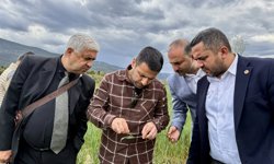 Durağan Belediyesi'nden üreticilere örtü altı sebze yetiştiriciliği eğitimi