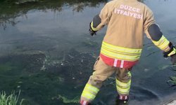 Düzce'de itfaiye ekipleri kanaldan çıkardıkları 2 kedi yavrusunu kalp masajıyla kurtardı