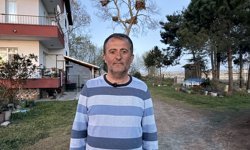 Evin bahçesindeki ağaçlar 12 leylek yuvasına ev sahipliği yapıyor