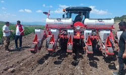 Göynücek'te 50 dekar alanda ayçiçeği ekimi gerçekleştirildi