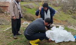 Göynücek'te şap hastalığına karşı bilgilendirme yapıldı