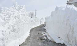 Gümüşhane'de nisanda karla mücadele sürüyor