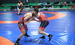 Güreşte milli takımlar, Avrupa ve dünya şampiyonalarına Kastamonu'da hazırlanıyor