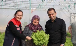 İpsala Esetçe'de 'Meryem Teyze' örneği... Yüzde 75 hibeli serada verimlilik artıyor