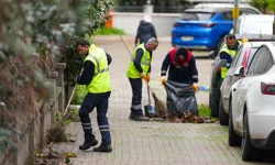 İstanbul Maltepe'de bahar seferberliği