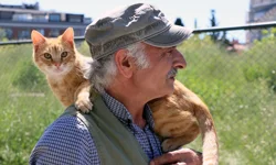 İstanbul Maltepe'de 'can dostlar' güvende