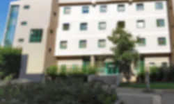 İstanbul'da kız öğrenci yurdunda skandal olay! 1 gözaltı