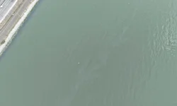 İzmir Körfezi'nde kirlilik endişelendiriyor! Aynı tehdit 11. kez görüldü