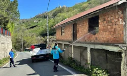 Kahverengi kokarcaya karşı Trabzon'da seferberlik