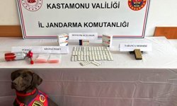 Kastamonu'da uyuşturucu operasyonunda 1 kişi tutuklandı