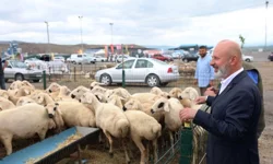 Kayseri Kocasinan'dan Türkiye'ye örnek 'kurban' ihalesi