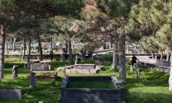 Kayseri'de 'yeşil' seferberlik