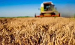 BÜYÜK DESTEK... 30 MİLYON TL'YE KADAR HİBE!