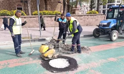 Manisa festivale hazırlanıyor