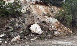 Mengen'de sağanak heyelana neden oldu