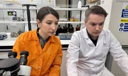 Mikroplastikler su ürünleri yetiştiriciliğinde üretimi düşürebilir