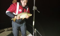 Misina ağıyla kaçak olarak yakalanan 60 kilo sazan göle salındı