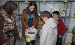 Of'ta ortaokul öğrencileri tohum üretim sürecini gözlemledi