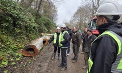 KANDİLLİ VE ORMANLI'DA KAPSAMLI İNCELEME