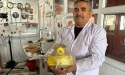 Öğrenciler meyvelerin daha uzun süre taze kalması için doğal kap tasarladı