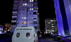 Ordu'da apartman dairesinde çıkan yangında 81 yaşındaki kişi yaralandı