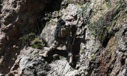 Ordu'da Polis Özel Harekat timi zorlu tatbikat ve eğitimlerle daima göreve hazır