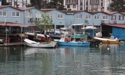 Palamudun üzdüğü Karadenizli balıkçıları hamsi mutlu etti