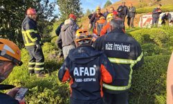 Rize'de çay bahçesine devrilen hafif ticari aracın sürücü yaralandı