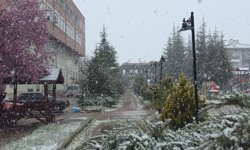 Samsun ve Amasya'da nisan ayında kar yağdı