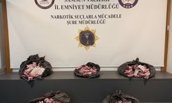 Samsun'da 24 bin 600 uyuşturucu hap ele geçirildi